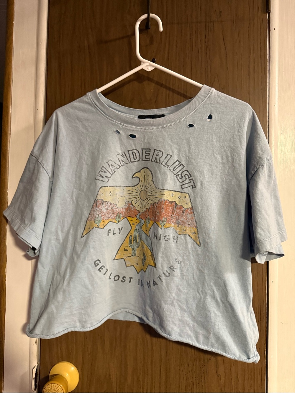 Forever 21 Light Blue Wanderlust Eagle Graphic Crop Tee